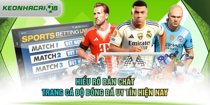 Hiểu rõ bản chất trang cá độ bóng đá uy tín hiện nay