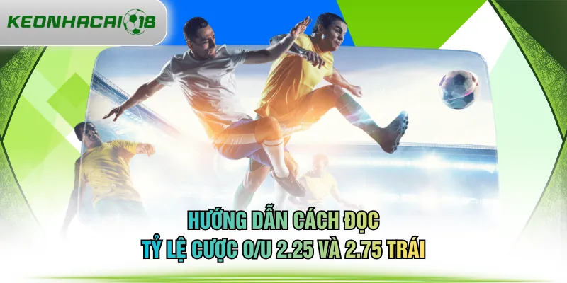 Hướng dẫn cách đọc tỷ lệ cược O/U 2.25 và 2.75 trái